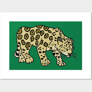 Walking jaguar Posters and Art